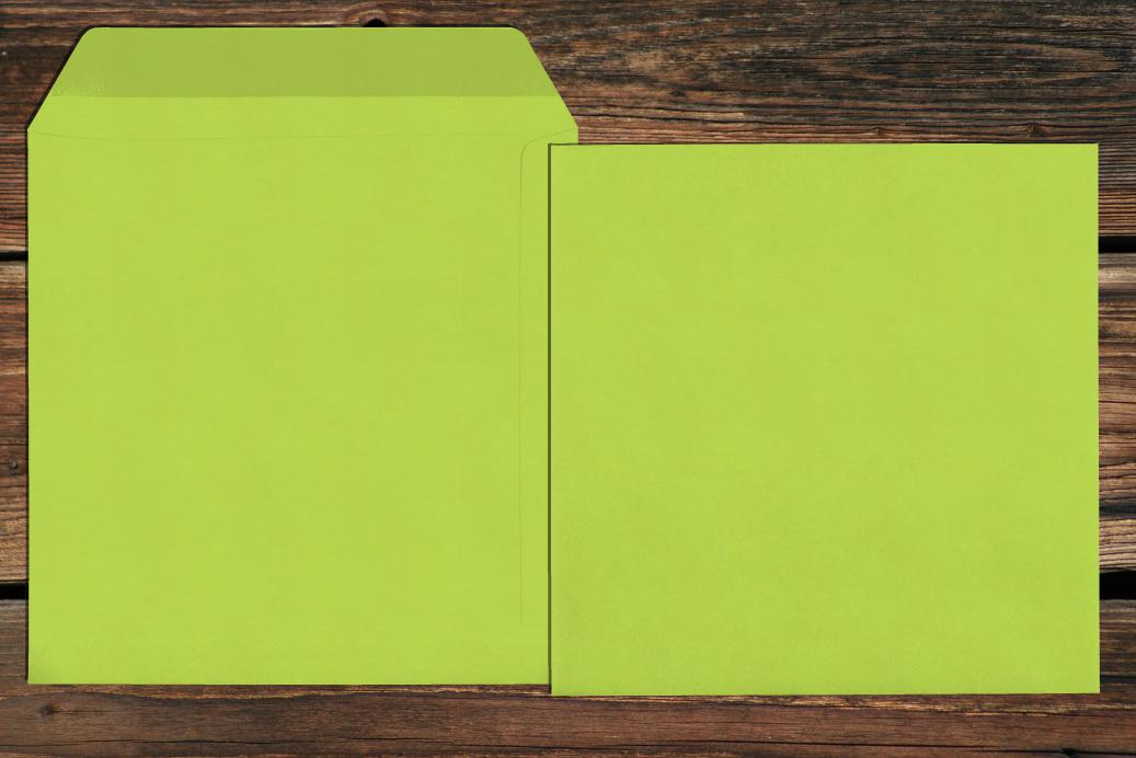 Versandtaschen 220x220 mm Nassklebend Lindgrün 120 g/qm